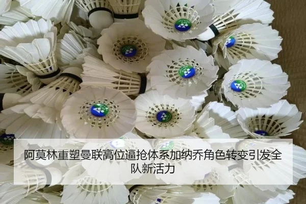 阿莫林重塑曼联高位逼抢体系加纳乔角色转变引发全队新活力